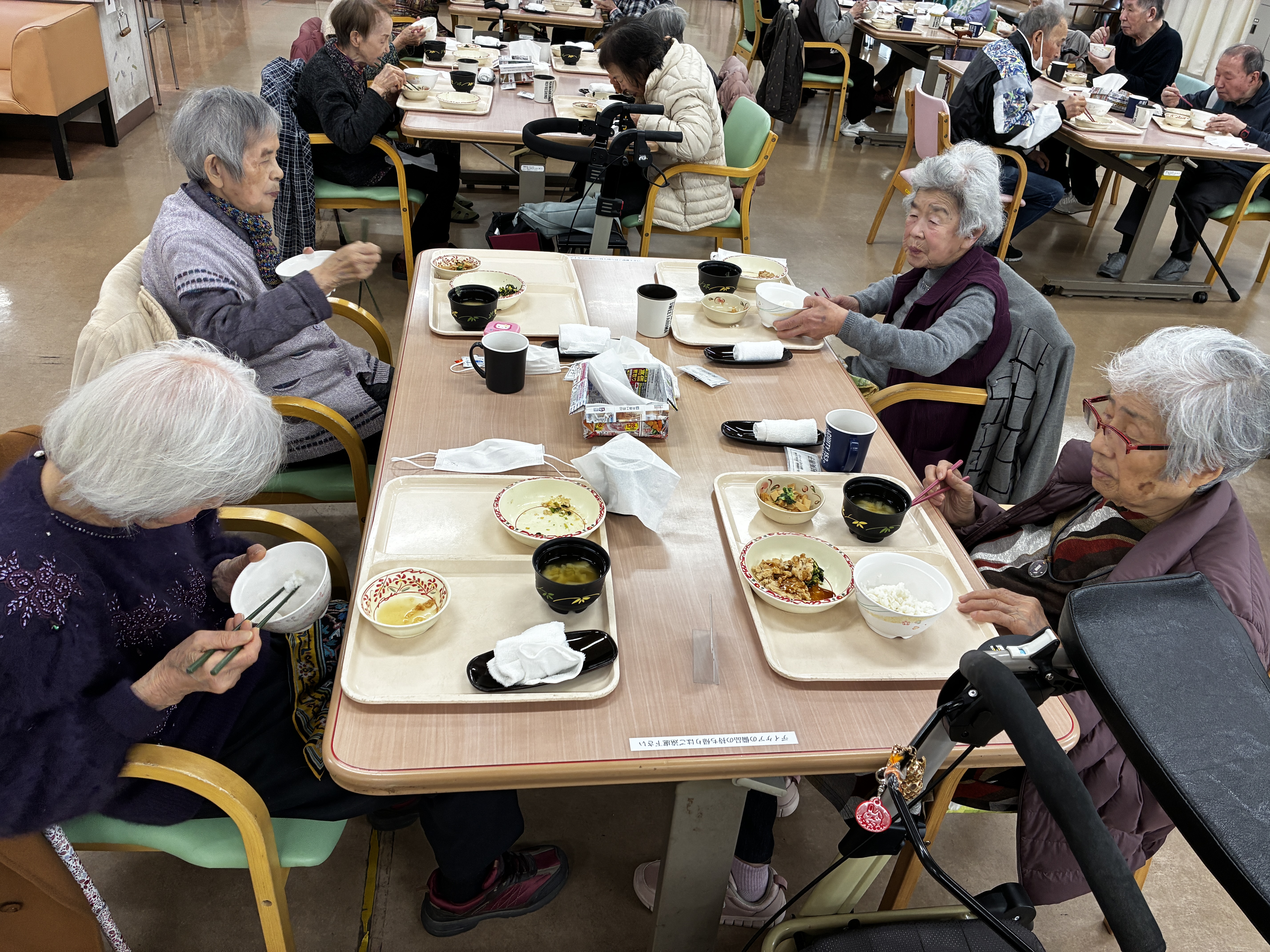 一日の様子